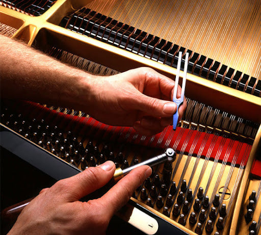 Musical Instruments
